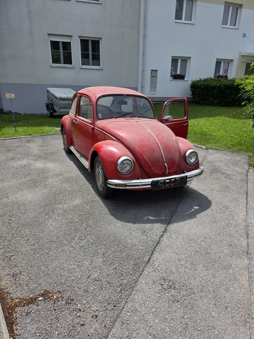 Volkswagen Käfer Rot - 1