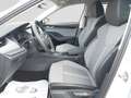 Skoda Octavia 1.5 TSI mHEV DSG Matrix/Canton/360°Kamer Weiß - thumbnail 9