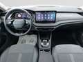 Skoda Octavia 1.5 TSI mHEV DSG Matrix/Canton/360°Kamer Weiß - thumbnail 10