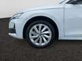 Skoda Octavia 1.5 TSI mHEV DSG Matrix/Canton/360°Kamer Weiß - thumbnail 15