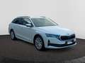 Skoda Octavia 1.5 TSI mHEV DSG Matrix/Canton/360°Kamer Weiß - thumbnail 7