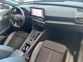 CUPRA Formentor Formentor 2.0 TDI 4Drive DSG Grau - thumbnail 9