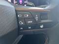 CUPRA Formentor Formentor 2.0 TDI 4Drive DSG Grau - thumbnail 15