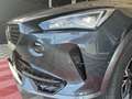 CUPRA Formentor Formentor 2.0 TDI 4Drive DSG Grau - thumbnail 19