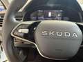 Skoda Kamiq 1.0 TSI Selection 70kW Blanco - thumbnail 10