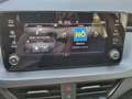 Skoda Kamiq 1,0 TSI Essence DSG Rot - thumbnail 12