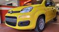 Fiat Panda Pandina 1.0 FireFly 65 CV Hybrid Pop Gelb - thumbnail 13