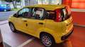 Fiat Panda Pandina 1.0 FireFly 65 CV Hybrid Pop Gelb - thumbnail 4