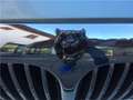 Jaguar Sovereign V8 Zielony - thumbnail 7