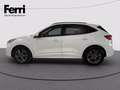 Ford Kuga 2.5 full hybrid ST-Line X 2wd 190cv cvt Bianco - thumbnail 3
