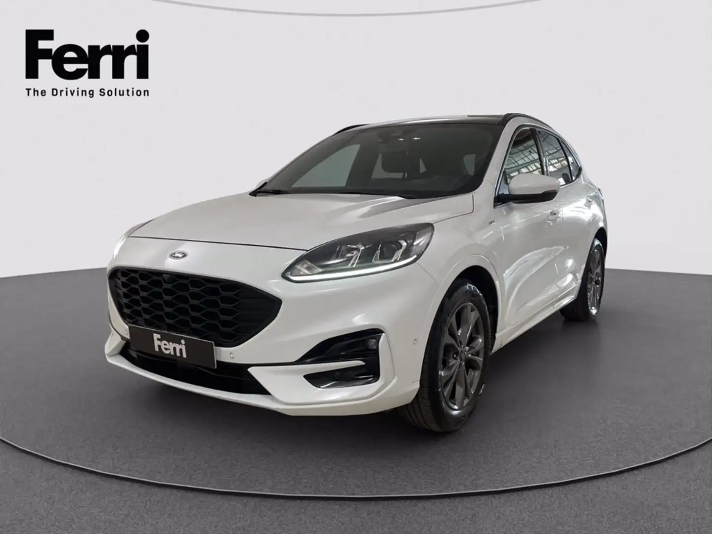 Ford Kuga 2.5 full hybrid ST-Line X 2wd 190cv cvt Bianco - 1