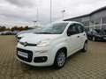 Fiat Panda 1,2  8V Easy Sitzheiz/Einparkhilfe Weiß - thumbnail 1