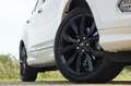 Ford Kuga 1.5 EcoBoost Vignale | White Platinum | Schuif-/Pa Weiß - thumbnail 41