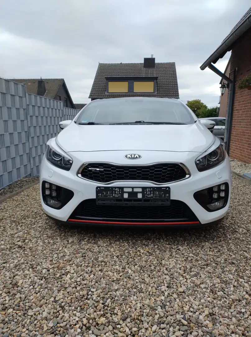 Kia ProCeed / pro_cee'd pro Ceed 1.6 T-GDI GT-Track Panoramadach Fehér - 1