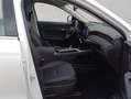 GWM HAVAL Jolion Pro 1.5 Turbo FWD Premium 130 kW, 5-t Weiß - thumbnail 18