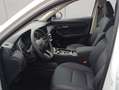 GWM HAVAL Jolion Pro 1.5 Turbo FWD Premium 130 kW, 5-t Weiß - thumbnail 10