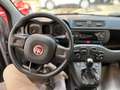 Fiat Panda 1.2 Easy + GPL Grau - thumbnail 6