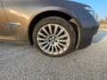 BMW 730 730 d xDrive Braun - thumbnail 10