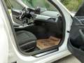 BMW 530 e xDrive Touring Aut. Blanc - thumbnail 10
