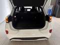Ford Puma 1,0 EcoBoost Hybrid ST-Line Weiß - thumbnail 15