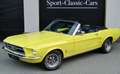 Ford Mustang RARITÄT! seltener 390 Big Block Jaune - thumbnail 27