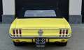 Ford Mustang RARITÄT! seltener 390 Big Block Jaune - thumbnail 36