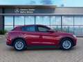 Alfa Romeo Stelvio 2.2 Turbodiesel 190 CV AT8 Q4 Business Rosso - thumbnail 7