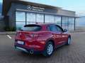 Alfa Romeo Stelvio 2.2 Turbodiesel 190 CV AT8 Q4 Business Rosso - thumbnail 6