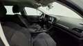 Renault Megane 1.5dCi Blue Intens 85kW Blanco - thumbnail 12