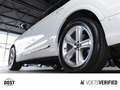 Audi Q8 45 TDI quattro AHK+DAB+KAMERA+MATRIX LED+SHZ Alb - thumbnail 6