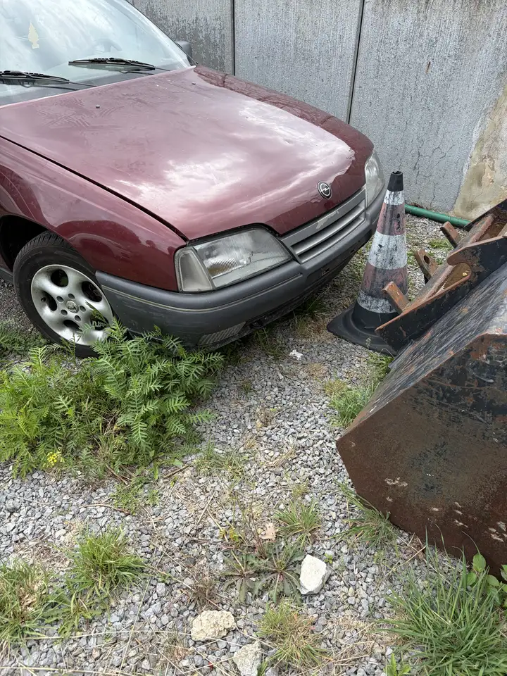 Opel Omega, foto 2