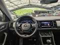 Skoda Kodiaq 2.0 TDI *VERKAUFT* Grau - thumbnail 29