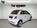 Fiat 500C 1.2 Lounge 69cv -  CABRIO - NEOPATENTATO Bianco - thumbnail 6