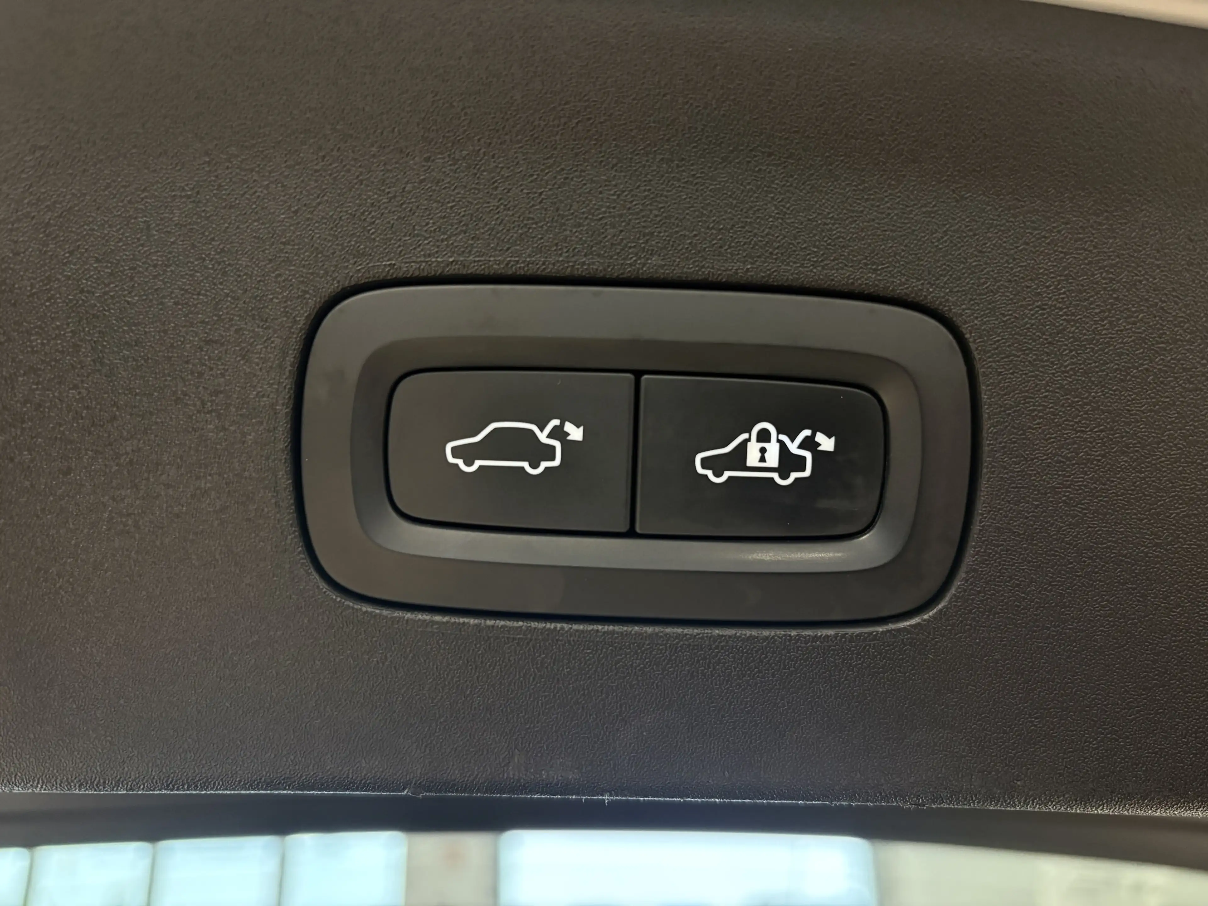 Polestar 2 Long Range Single Harman Kardon Leder Pano — photo 8
