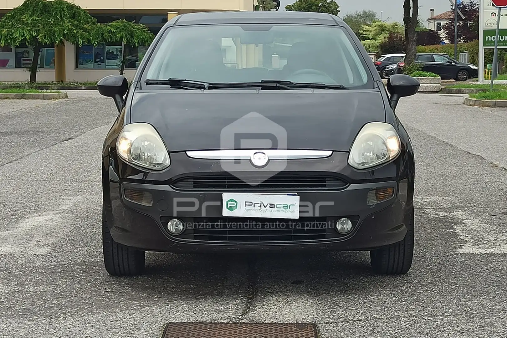 Fiat Punto Evo 1.4 5 porte Dynamic Natural Power NEOPATENTATI Zwart - 2