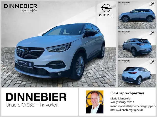 Opel Grandland (X) Edition RFK LED TWA PDC Therma Tec