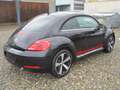 Volkswagen Beetle Club BMT Noir - thumbnail 6