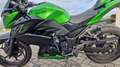 Kawasaki Z 300 Performance/Sport Akrapovič Groen - thumbnail 3
