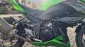 Kawasaki Z 300 Performance/Sport Akrapovič Groen - thumbnail 4