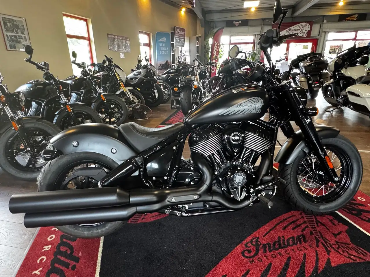 Indian Chief