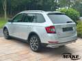 Skoda Fabia Combi Scoutline 1.0 TSI NAV LED GRA ALU Silber - thumbnail 5