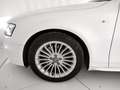 Audi A4 Avant 2.0 tdi quattro 177cv s-tronic Blanco - thumbnail 23