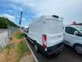 Ford Transit 290 L2 Trend Weiß - thumbnail 3