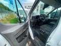 Ford Transit 290 L2 Trend Weiß - thumbnail 6
