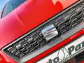 SEAT Ibiza 1.0 TSI NAVI~APP~VIRTUELLC~SHZ~PDC~ALU~GRA Rot - thumbnail 13