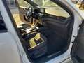 Ford Kuga Kuga 2,5 Duratec PHEV ST-Line X Aut. ST-Line X Weiß - thumbnail 7