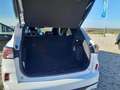 Ford Kuga Kuga 2,5 Duratec PHEV ST-Line X Aut. ST-Line X Weiß - thumbnail 9