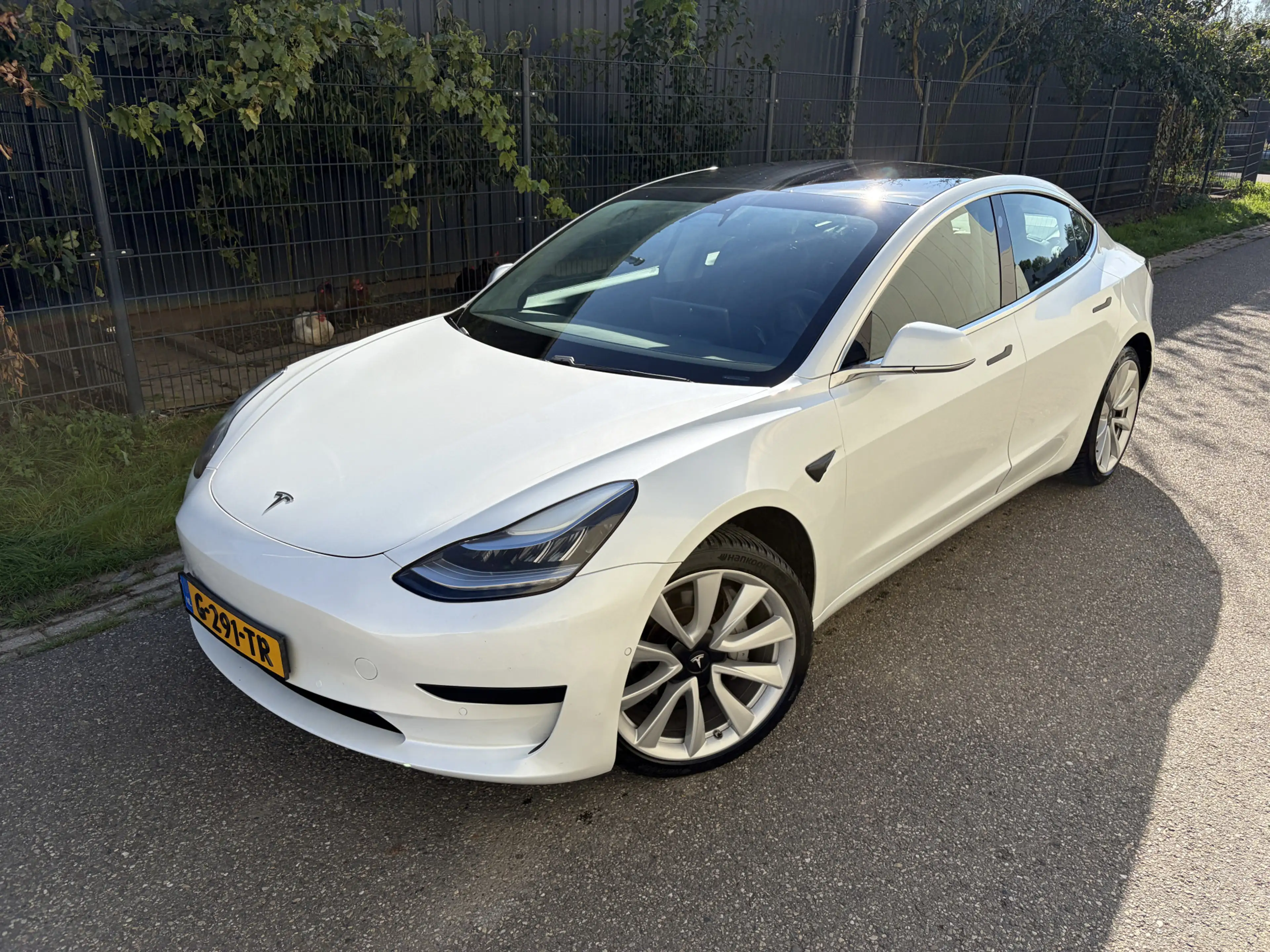 Tesla Model 3 Standard RWD Plus 60 kWh / AUTOMAAT / PANORAMADAK — photo 2