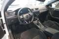 Skoda Superb 2.0 TDI SportLine 4x4 Virtual/Navi/LED/Sportpaket Weiß - thumbnail 7