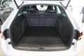Skoda Superb 2.0 TDI SportLine 4x4 Virtual/Navi/LED/Sportpaket Weiß - thumbnail 10